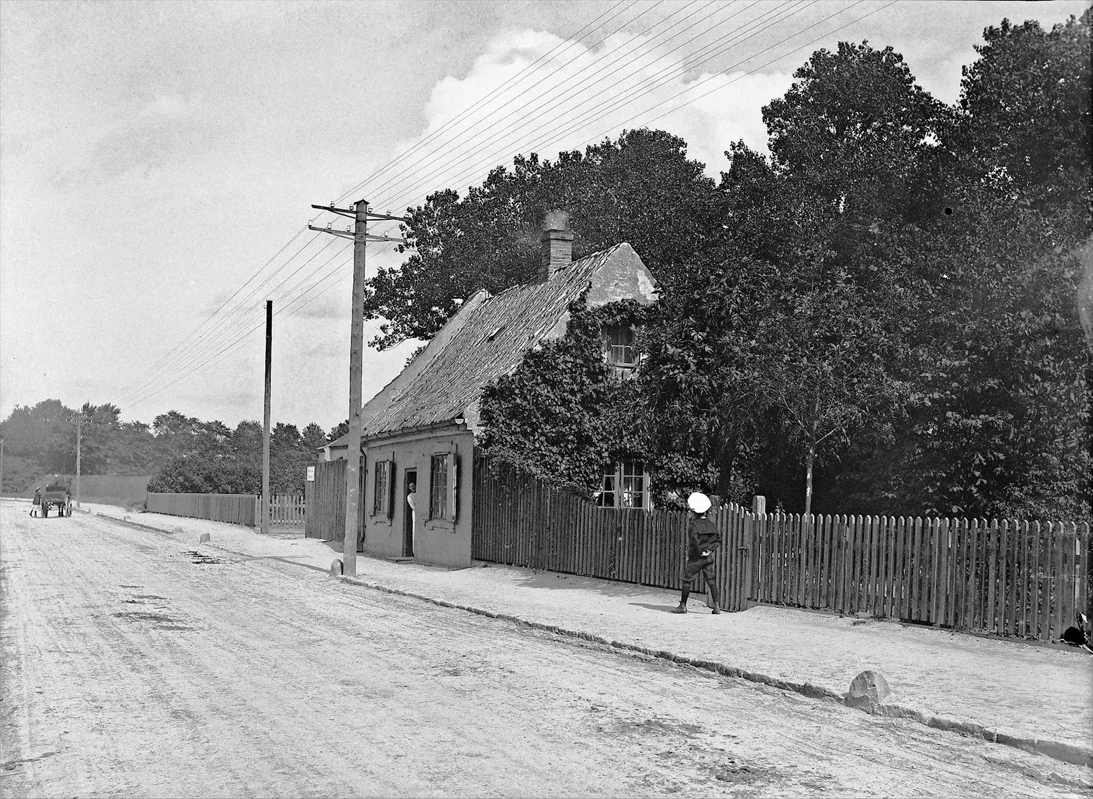 Dines Bogø