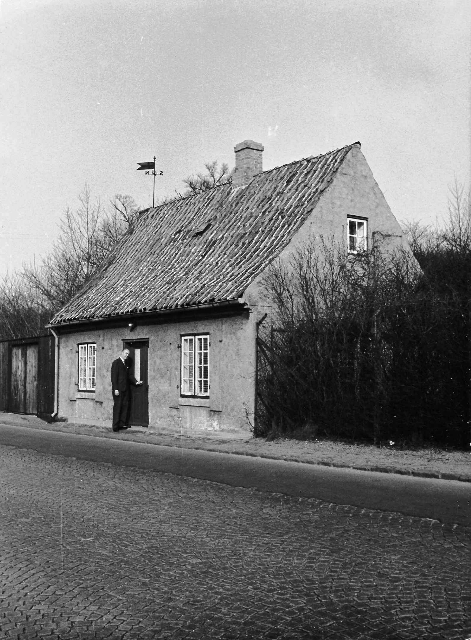 Dines Bogø