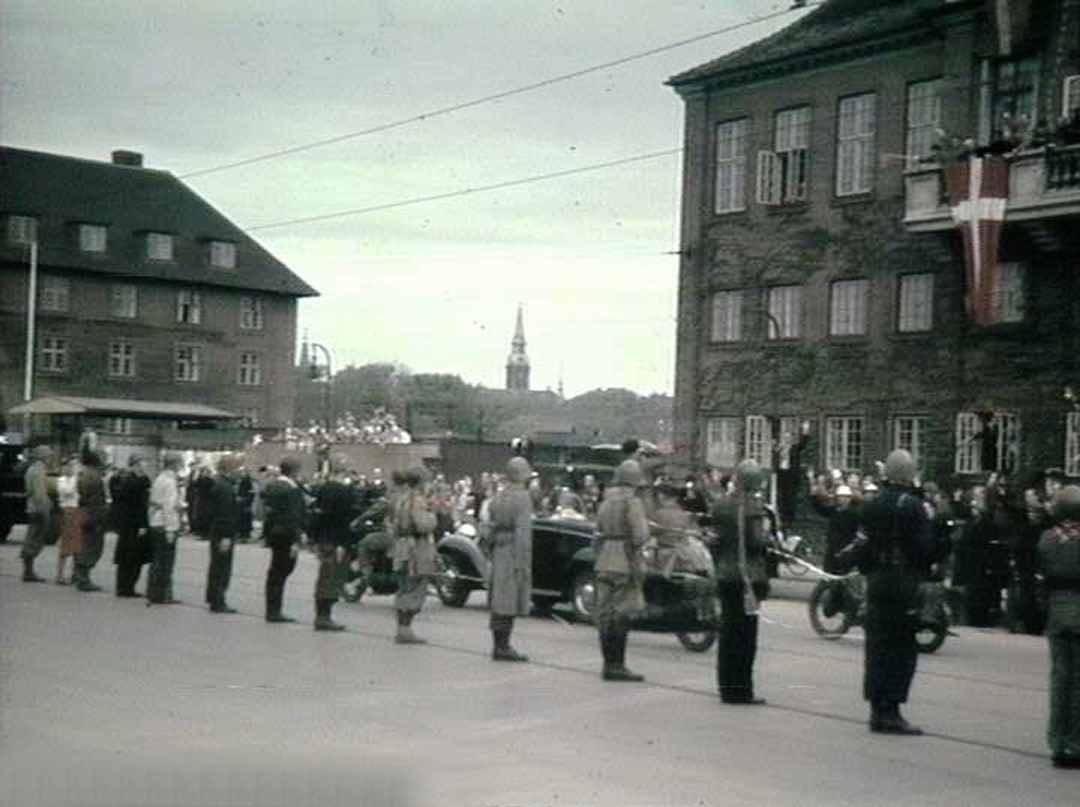 Dines Bogø